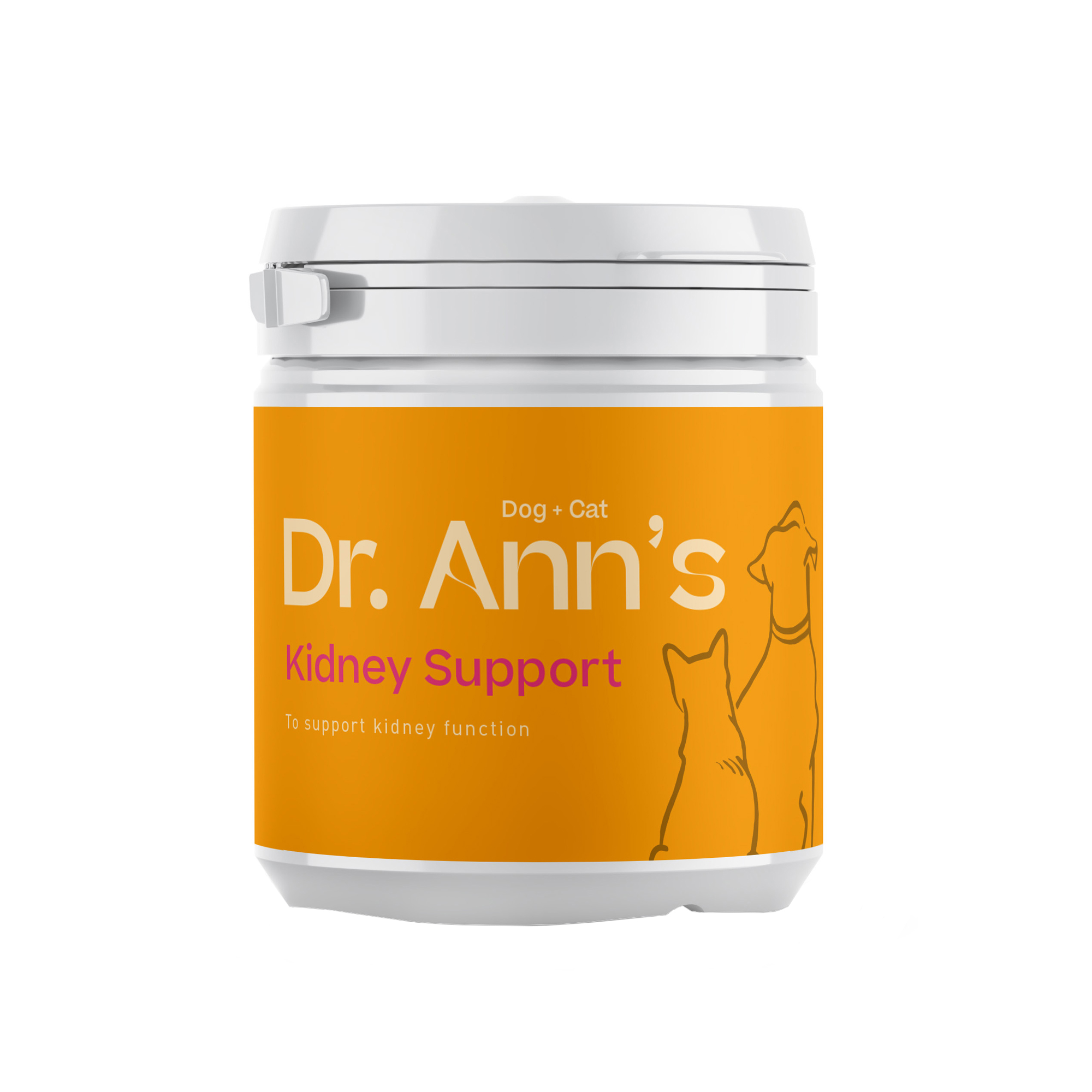 Dr. Ann's Kidney Support - 60g