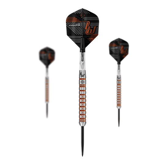 Harrow's Luke Woodhouse Series 2 steel darts
