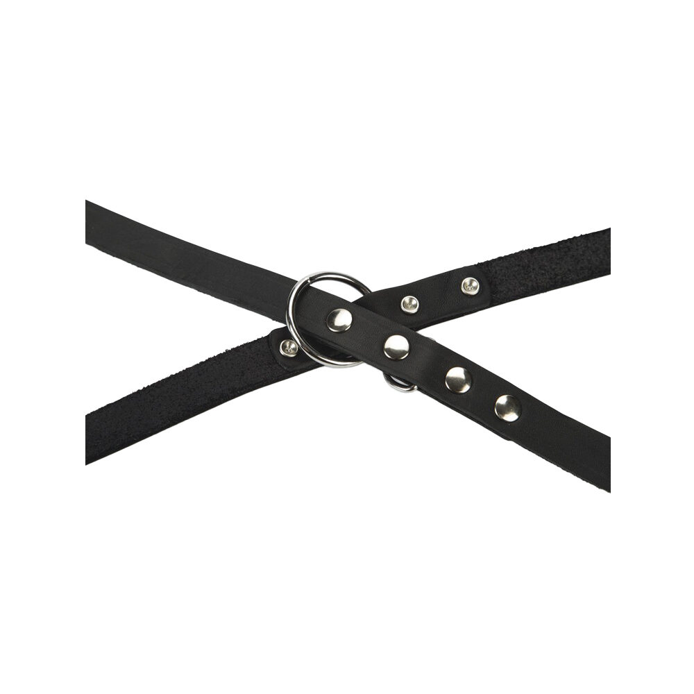 Beeztees Dog Leash Leather - Brown - 200 x 18cm