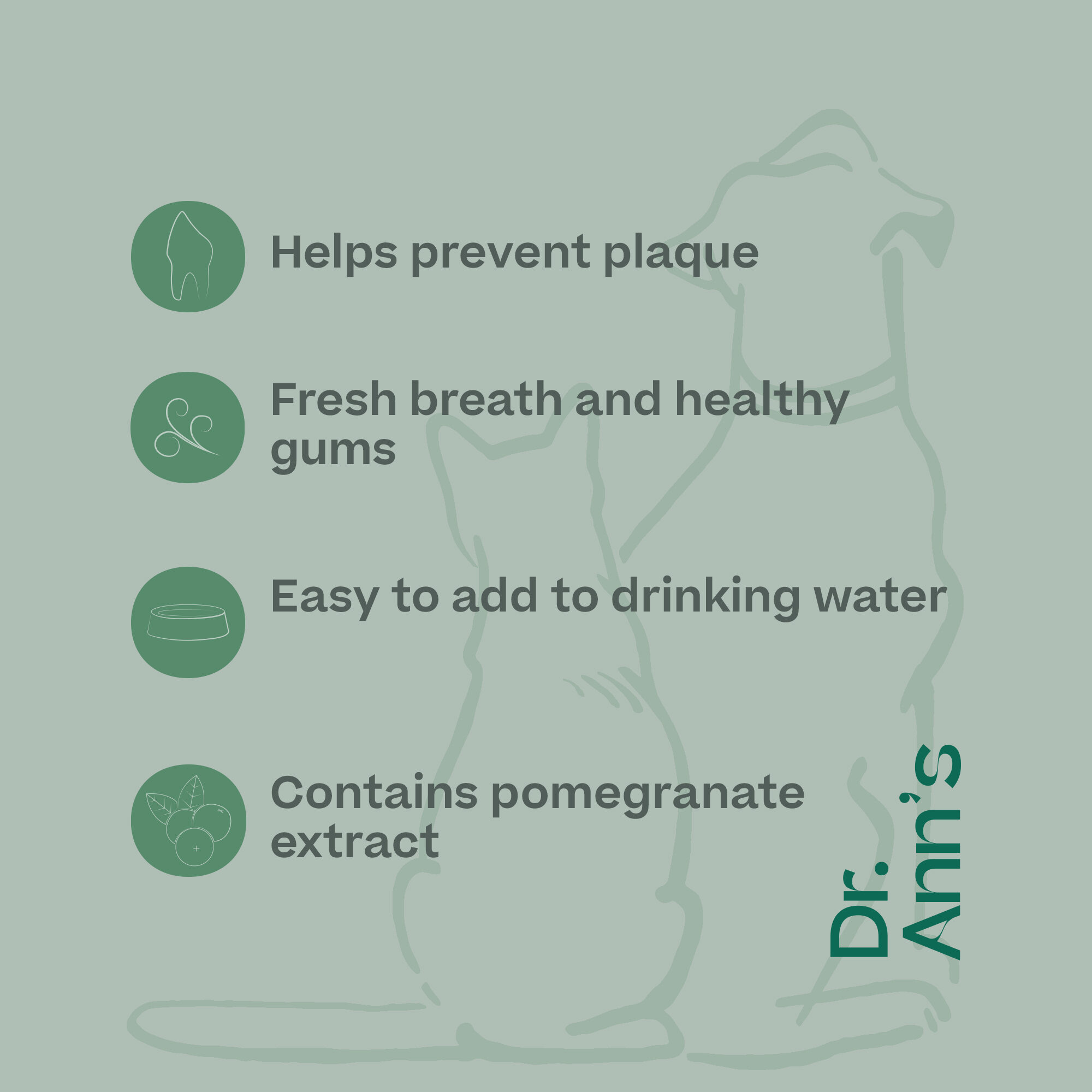 Dr. Ann's Mouth Wash - 250ml