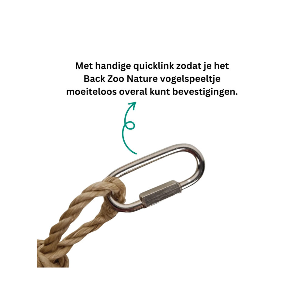 Back Zoo Nature Forest