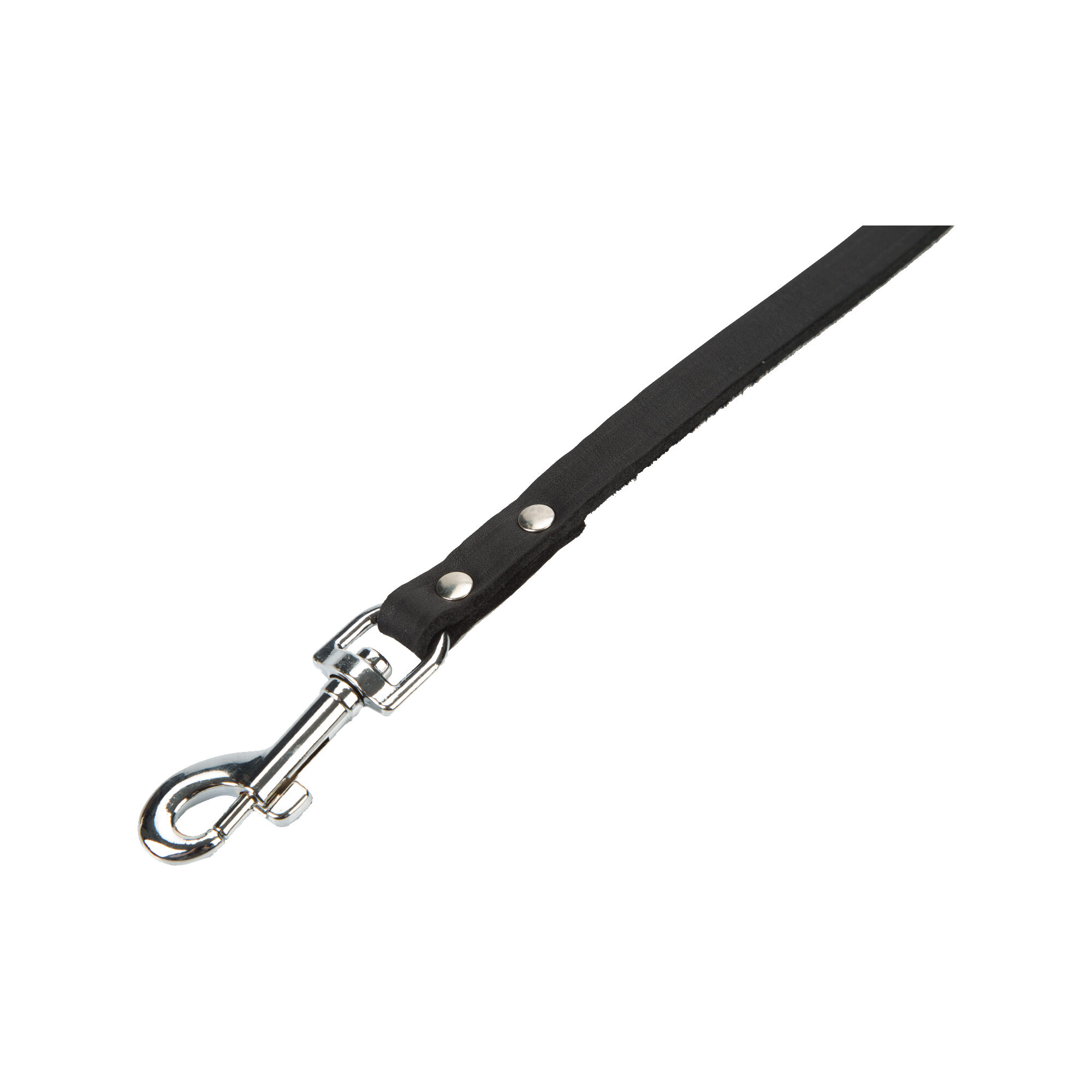 Beeztees Enjoy Dog Leash - Brown - 165cm x 12mm