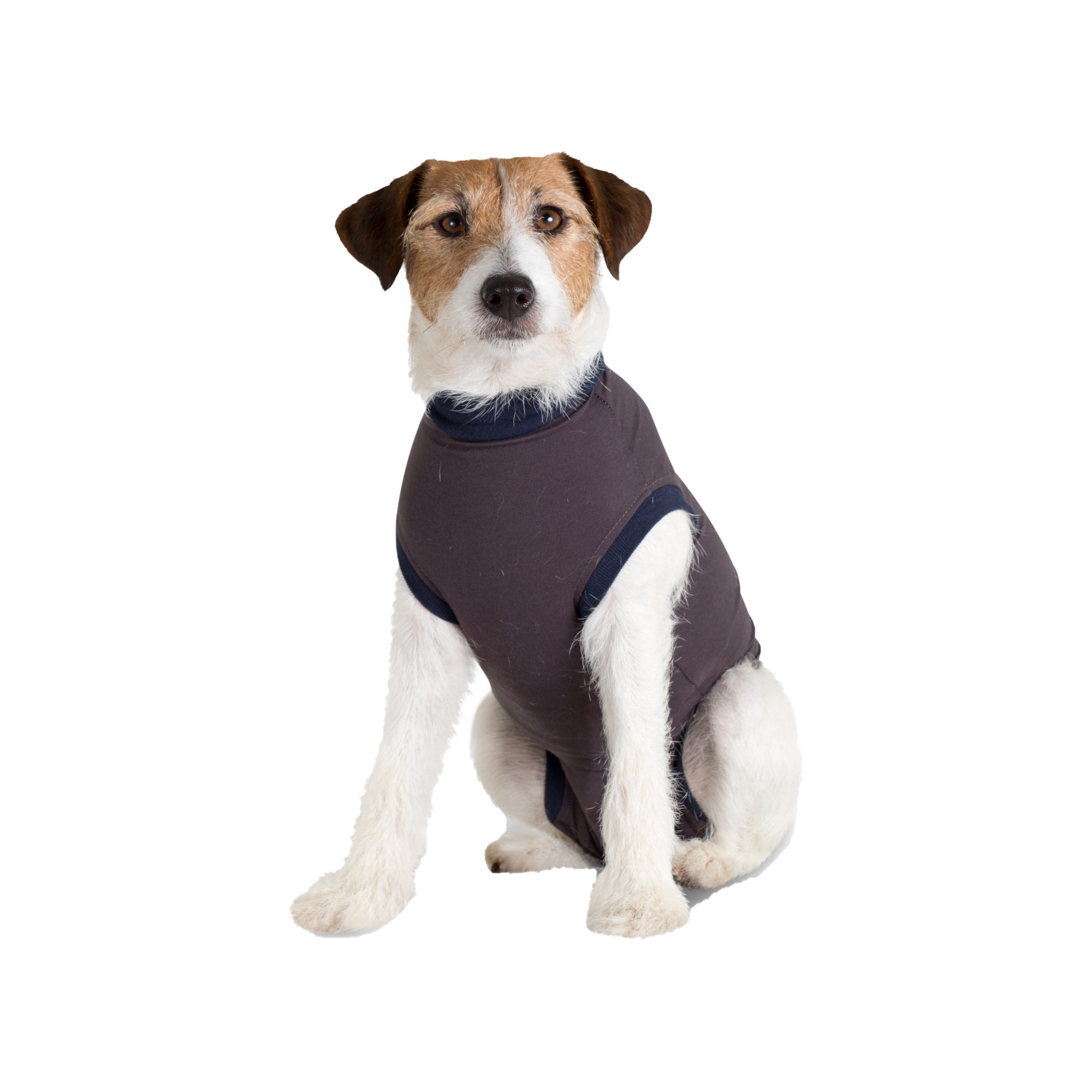 Jacketz Medical Bodysuit Dog - XS