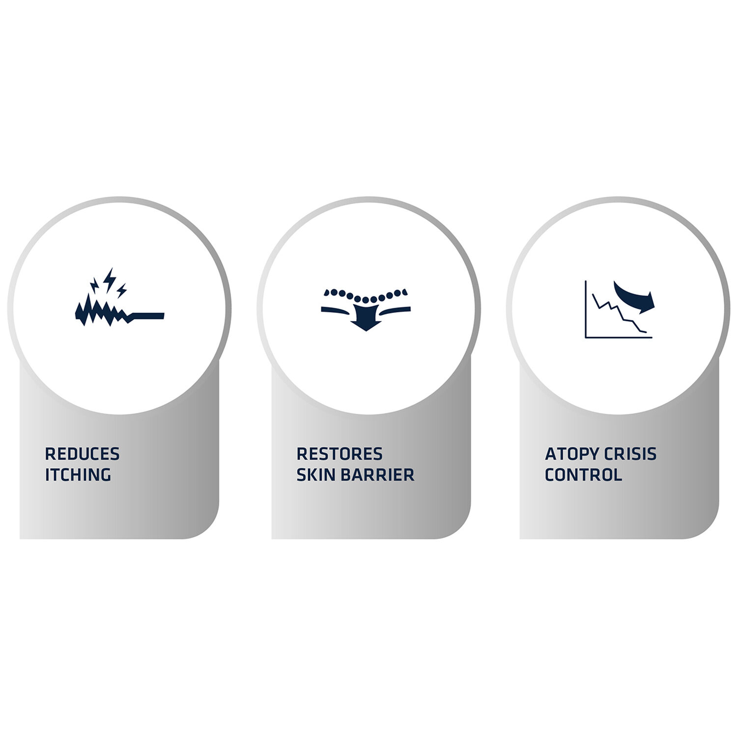 Affinity Advance Veterinary Diets Atopic Dog - 12 kg