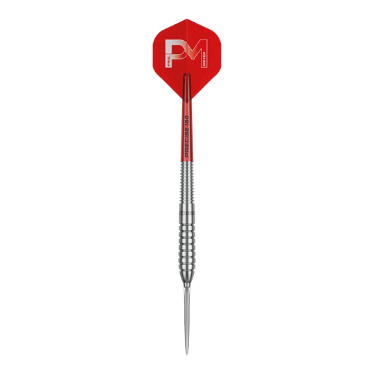 Precise 180 Paul Meyer Version 1 steel darts