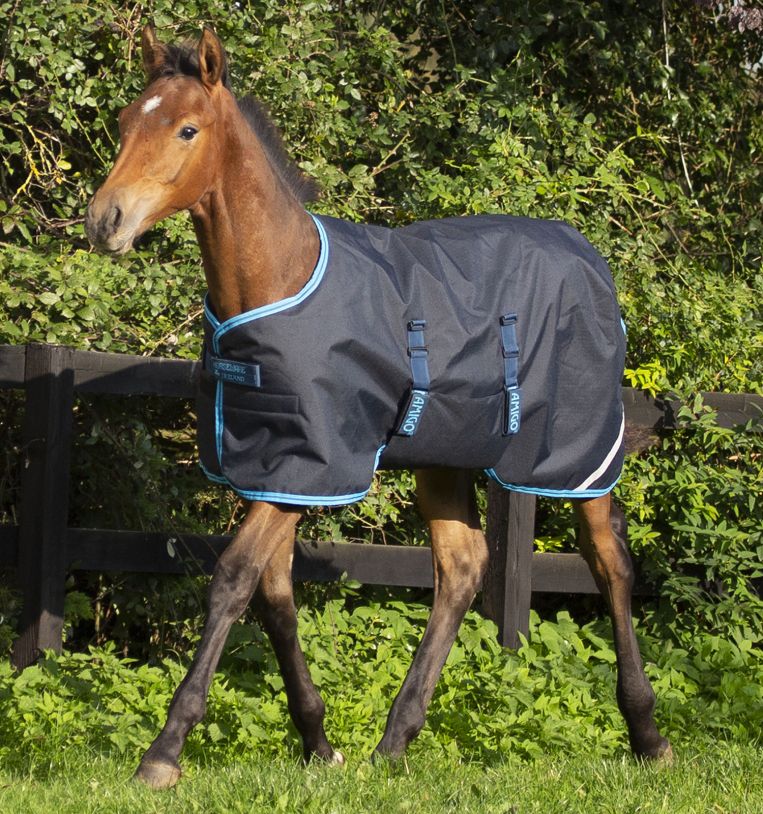 Amigo® Ripstop Foal Turnout (200g Medium)