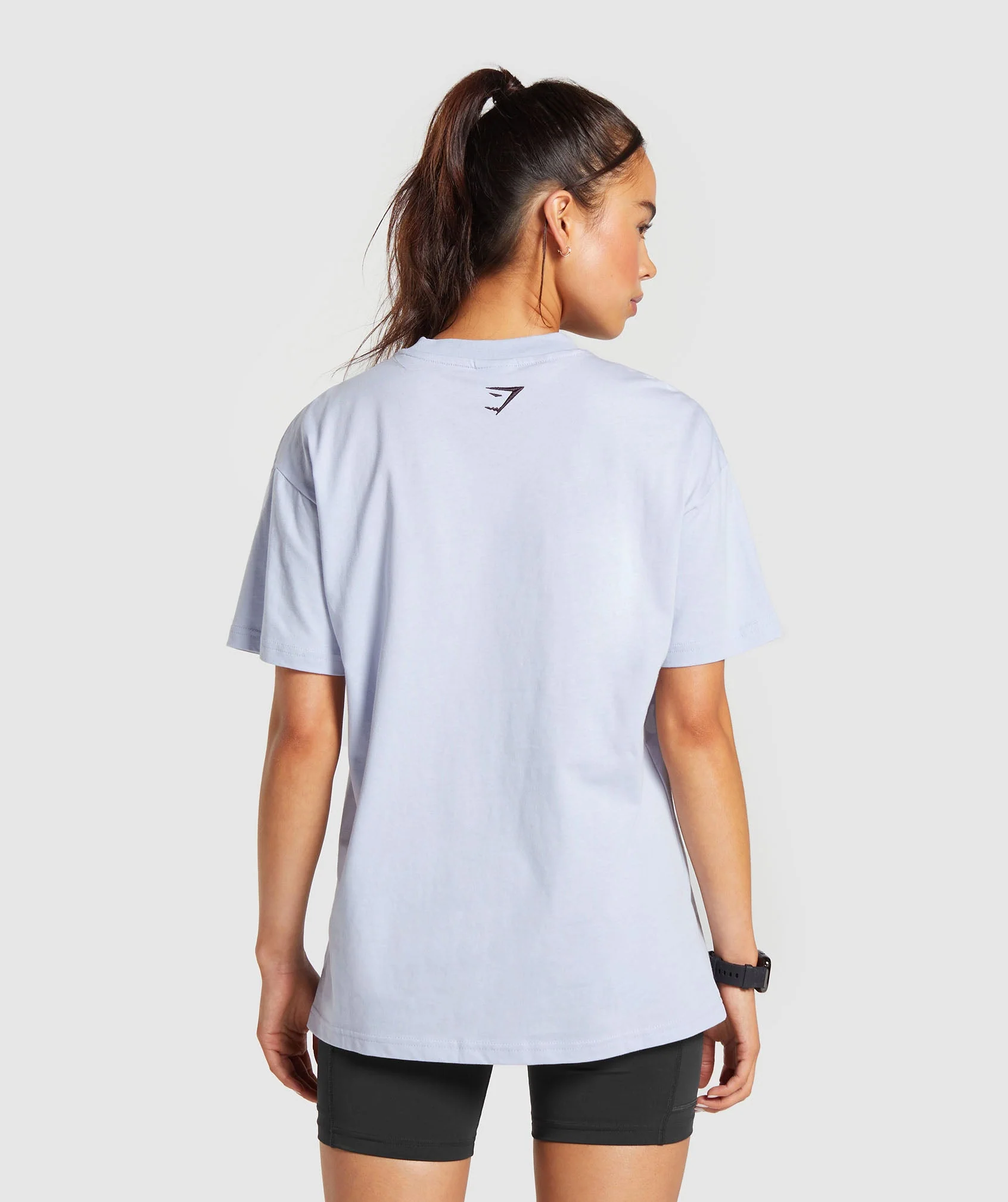 Block Oversized T-Shirt Silver Lilac