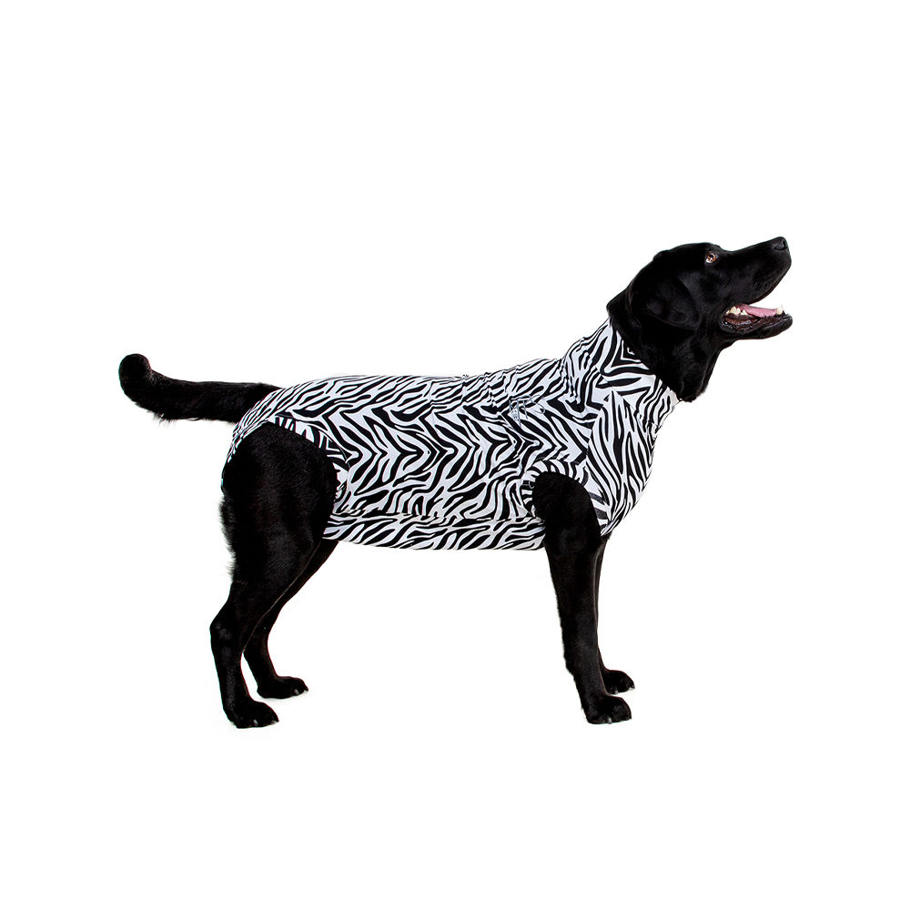 Medical Pet Shirt Dog - Zebra Print - S Plus