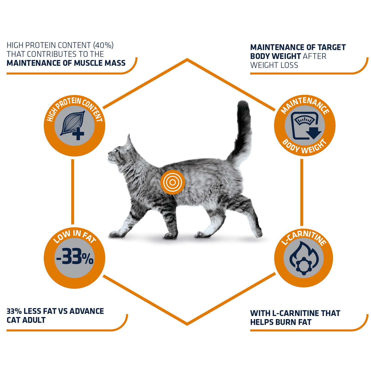 Affinity Advance Veterinary Diets Weight Balance Cat - 1.5 kg