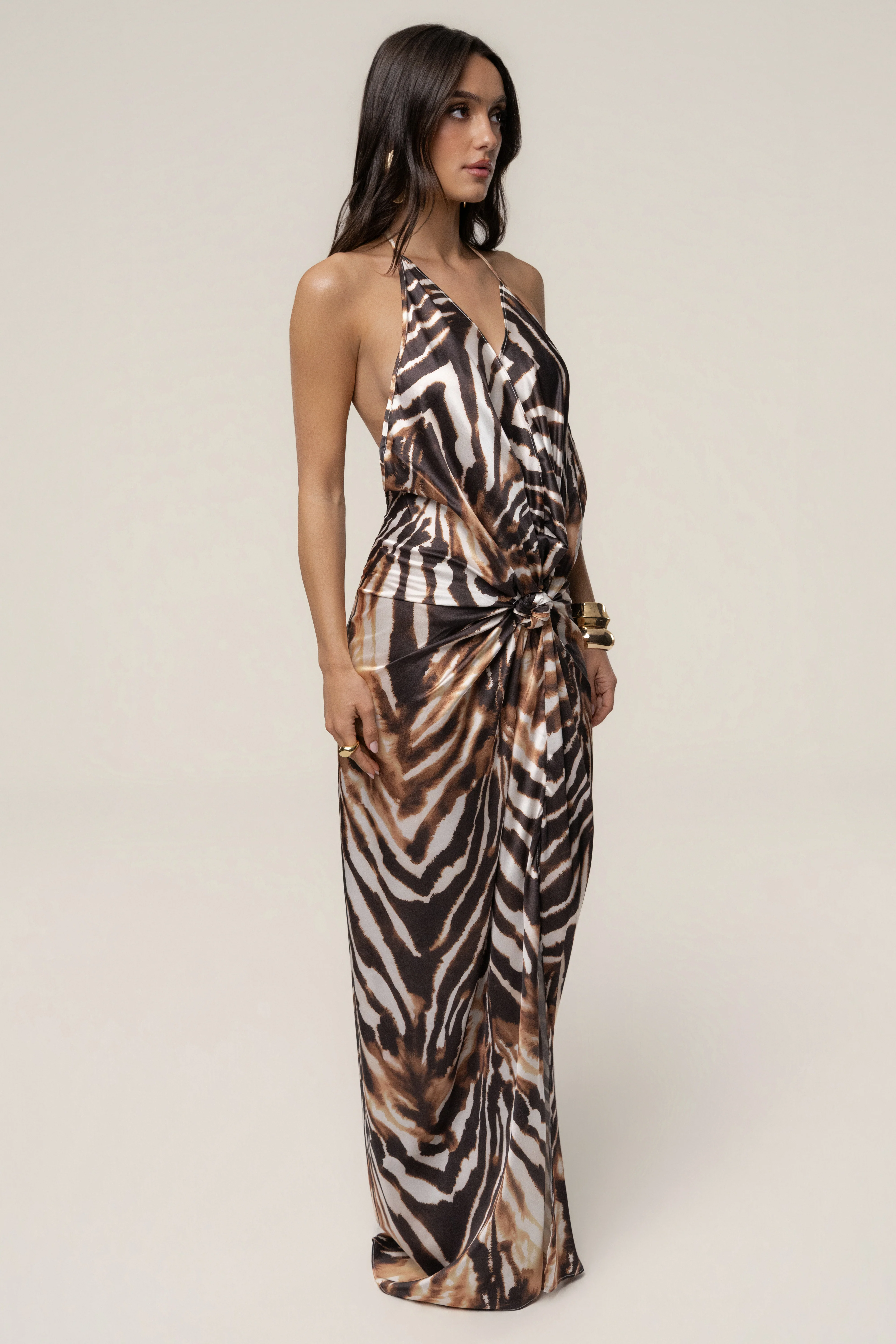 Multi Desert Muse Print Maxi Dress