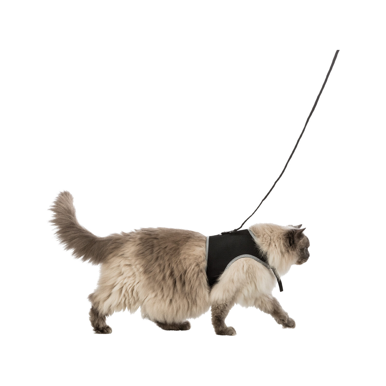 Trixie Soft Harness with Leash - 24 to 42cm - Random