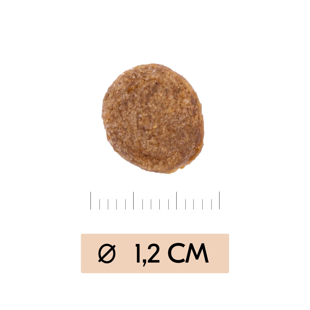 Vetality Gastrointestinal Dog - 3 x 3kg