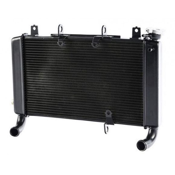 Brazoline adaptable water radiatorRef: 56011