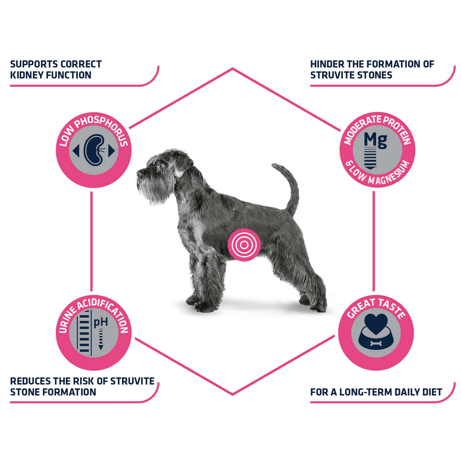 Affinity Advance Veterinary Diets Urinary Dog - 3 kg