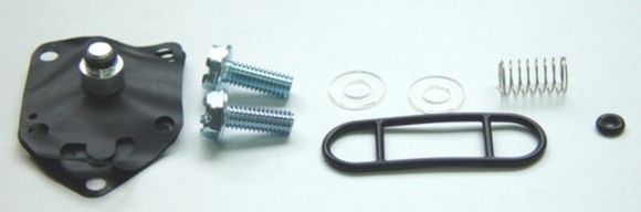 Kit Reconditioning fuel valve Tour Max Ref: TRM00695A / 1055445