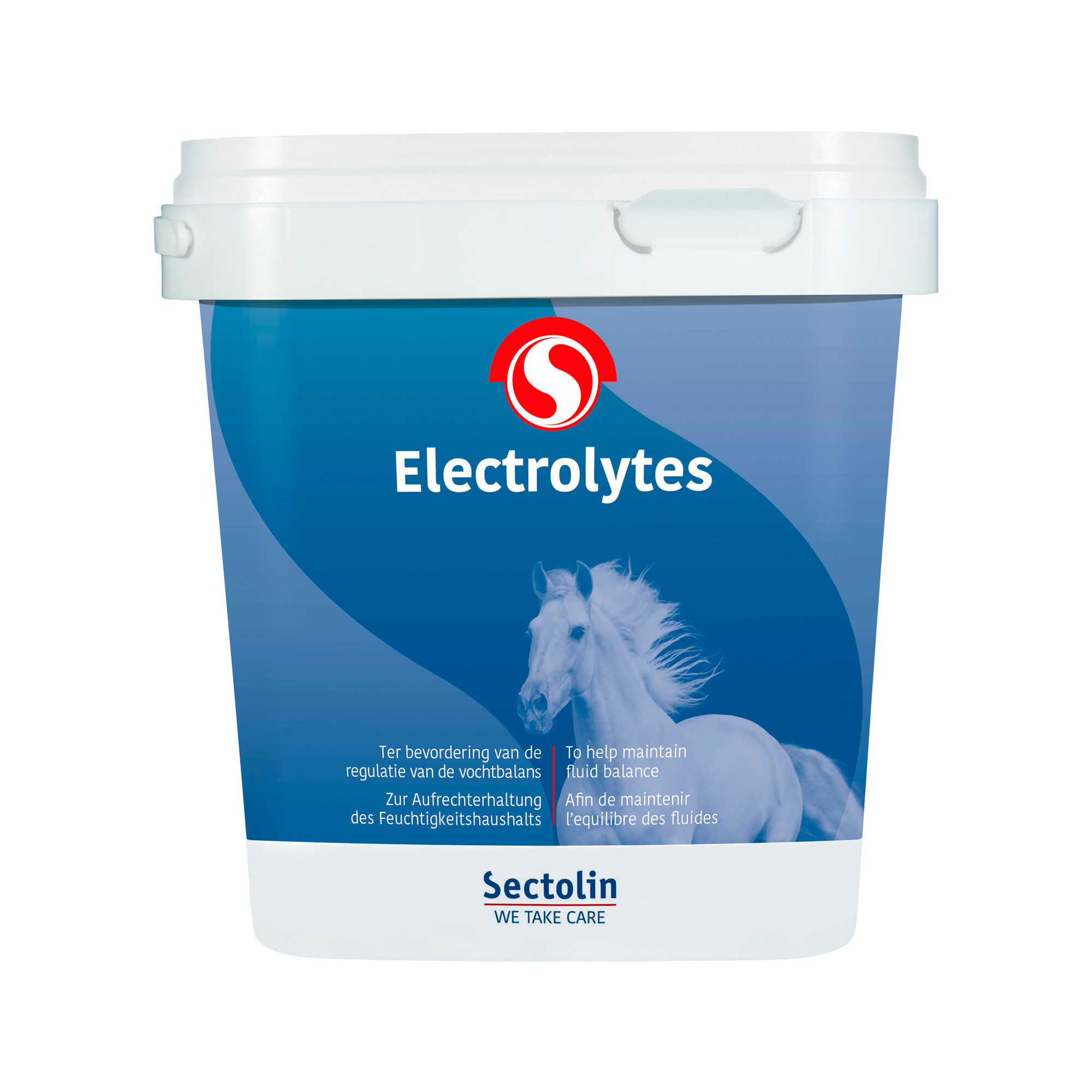 Sectolin Electrolytes - 1kg
