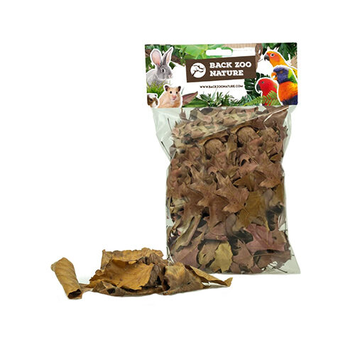 Back Zoo Nature Discovery Leaves - 50 g