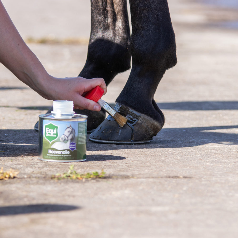 Equi Protecta Hoof Oil - 500ml