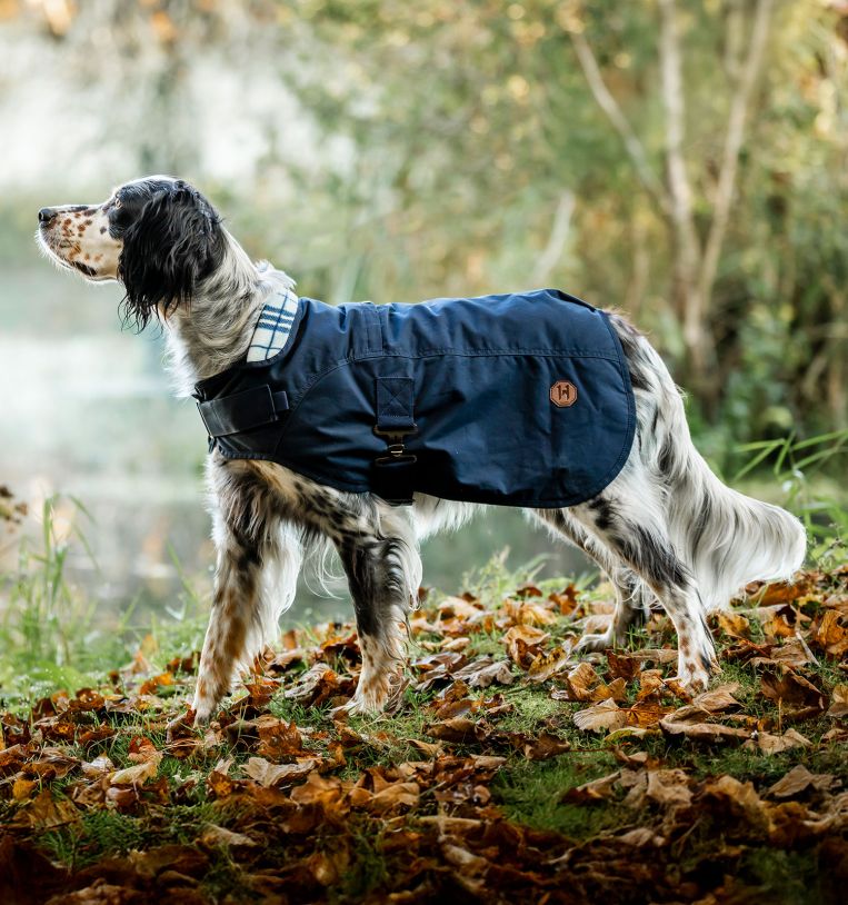 Horseware® Newmarket Heritage Dog Coat