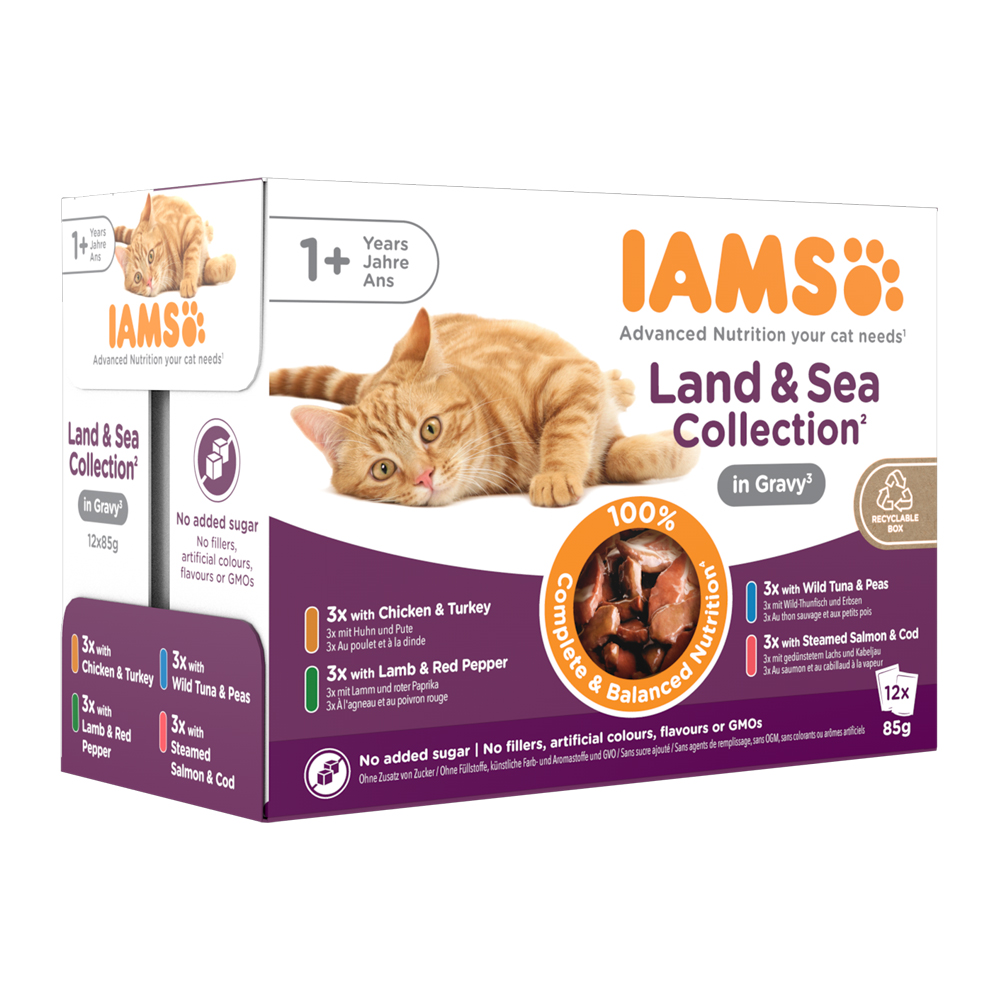 IAMS Delights Adult Cat Wet Food - Sea Collection - Jelly - 12 x 85 g