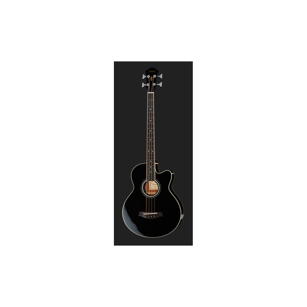 Ibanez AEB8E
