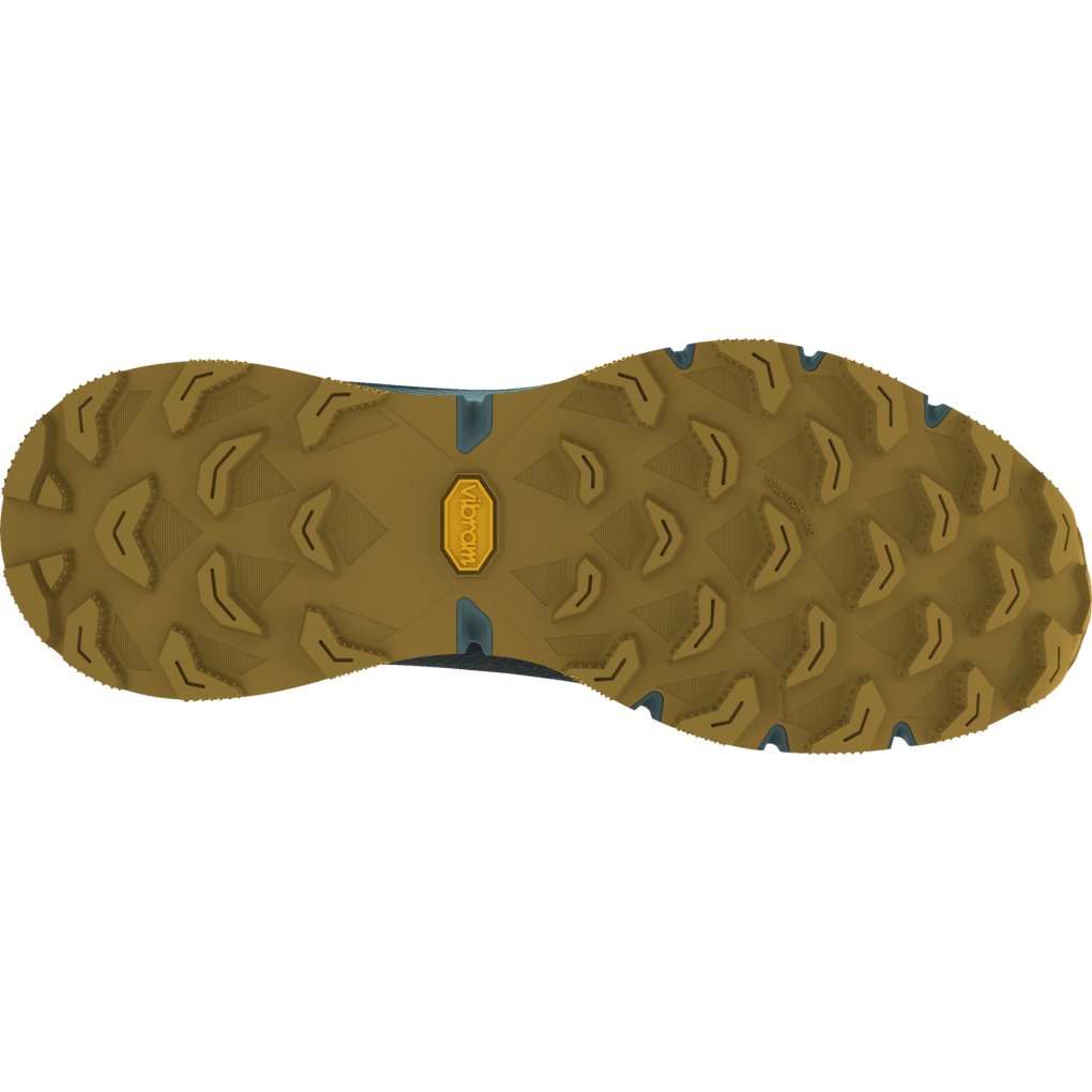 Dynafit Ultra 100 GTX Running Shoes Men - Lichen/Atlantic