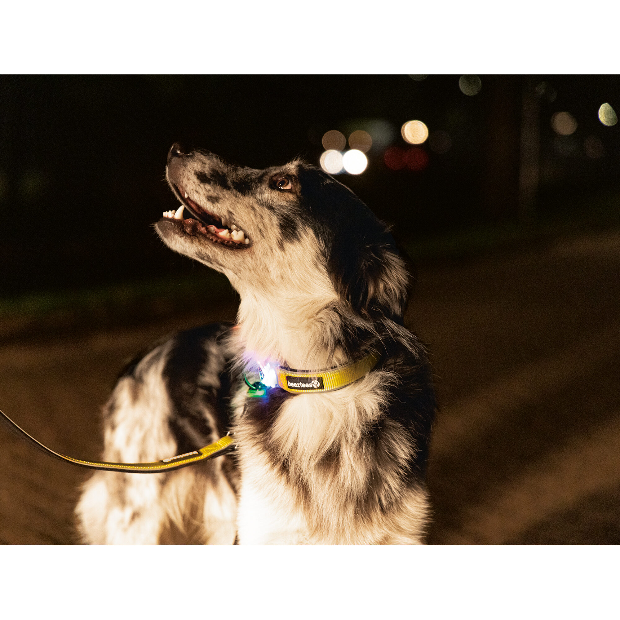 Beeztees Safety Gear Parinca Collar - 30-35 x 2 cm