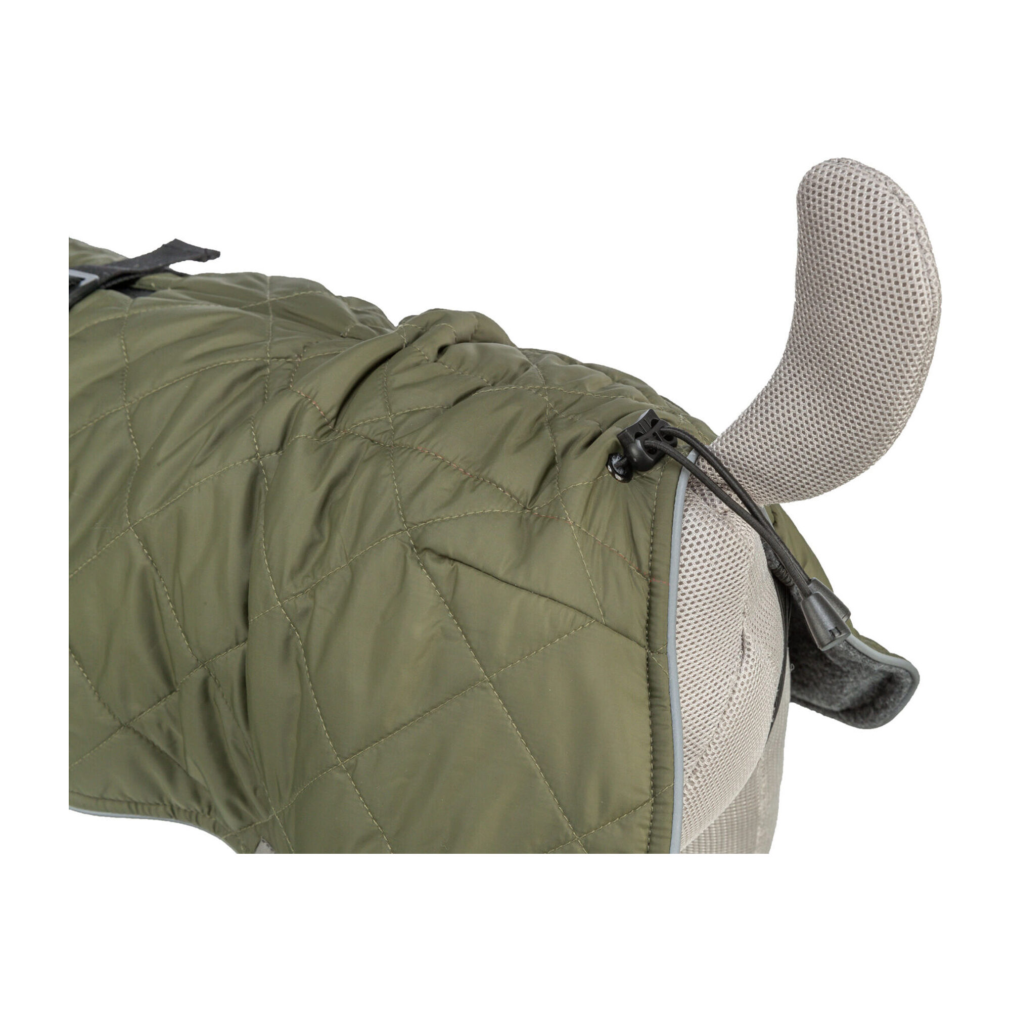 Trixie Dog Coat Minot - Olive green - XS - 30 cm