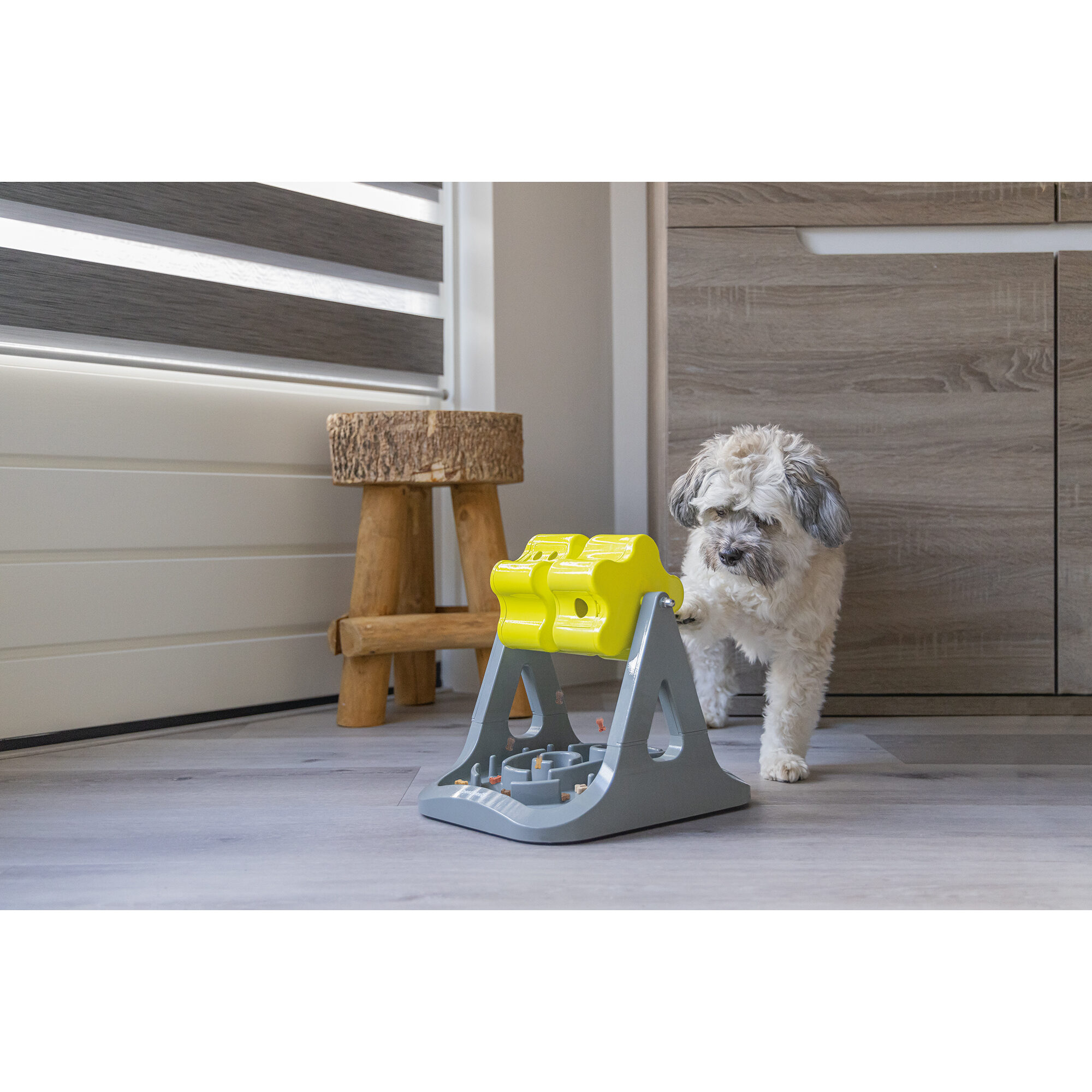 Beeztees Brain Game Rodar