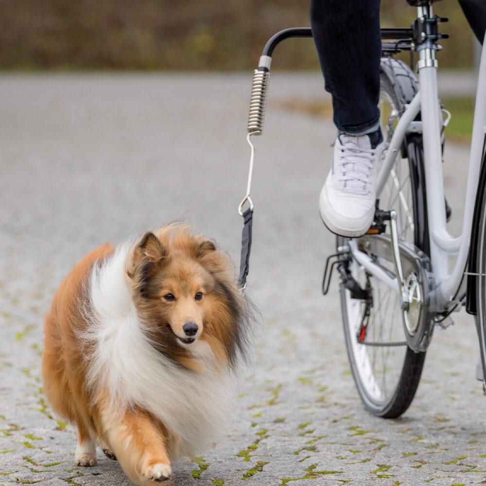 Trixie Dog Biker Kit