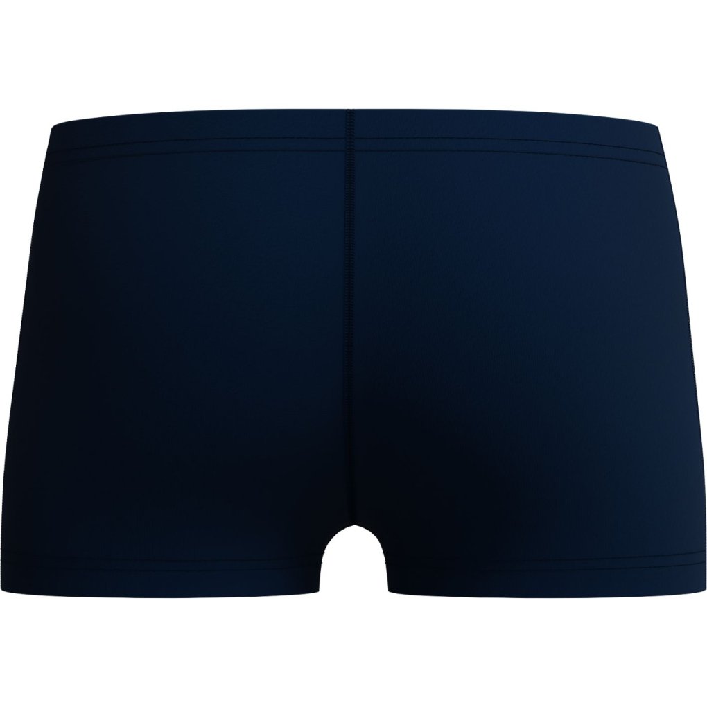 Speedo Medley Logo Aquashort Boys - cobalt pop