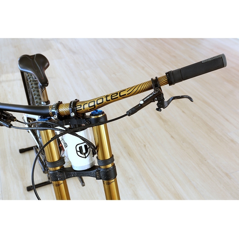 Ergotec Low Riser Bar Gold Edition 31.8 MTB Handlebar - Safety Level 6+ - matt black/gold