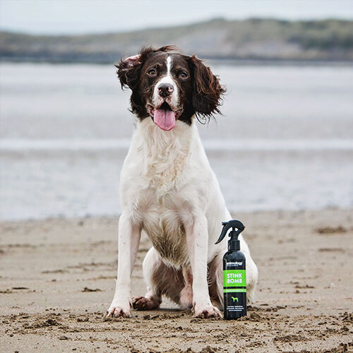 Animology - Stink Bomb