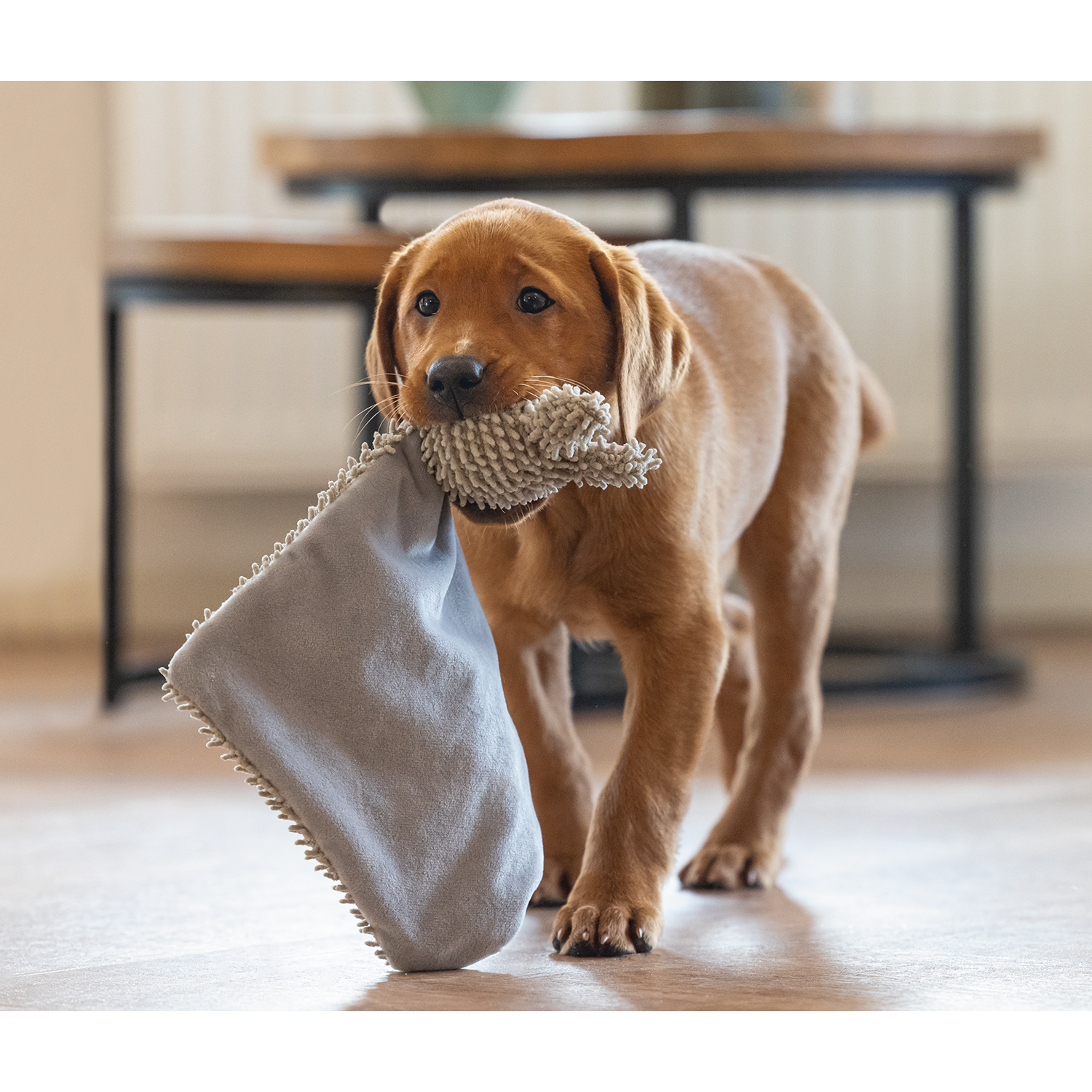 Beeztees Puppy Eco Cuddle Lap - Grey