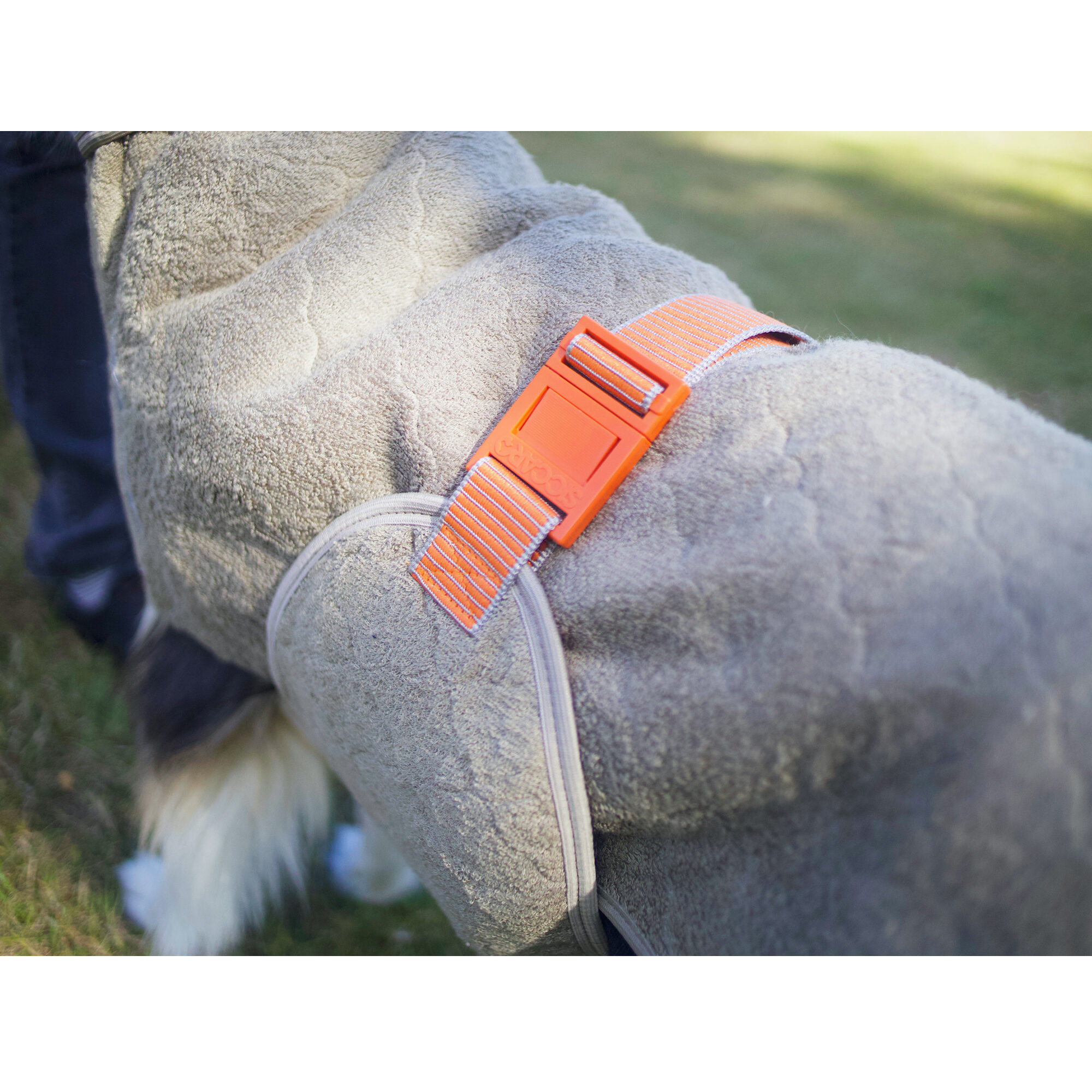 Siccaro WetDog SupremePro 2.0 - Blue Granite - 50