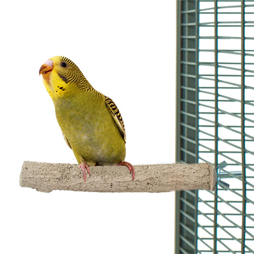 Back Zoo Nature Super Stone Perch - S