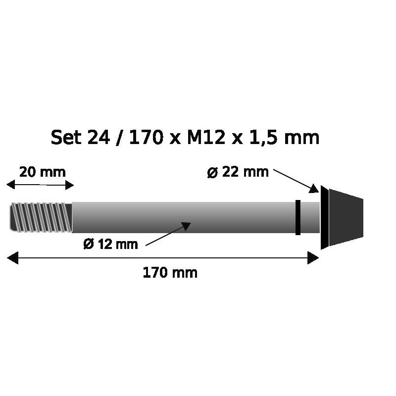 Pitlock Set 24 Thru Axle 12x170mm x1.5mm - black