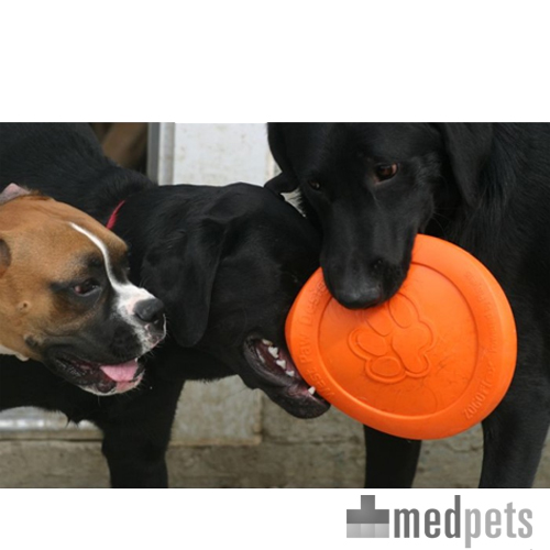 Zogoflex Zisc Flying Disc - Small - Aqua