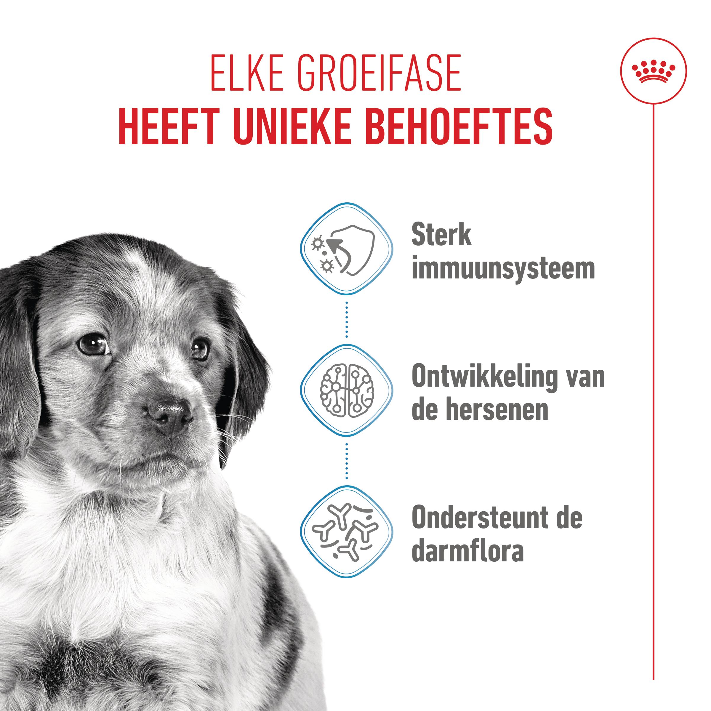 Royal Canin Medium Puppy - 4kg