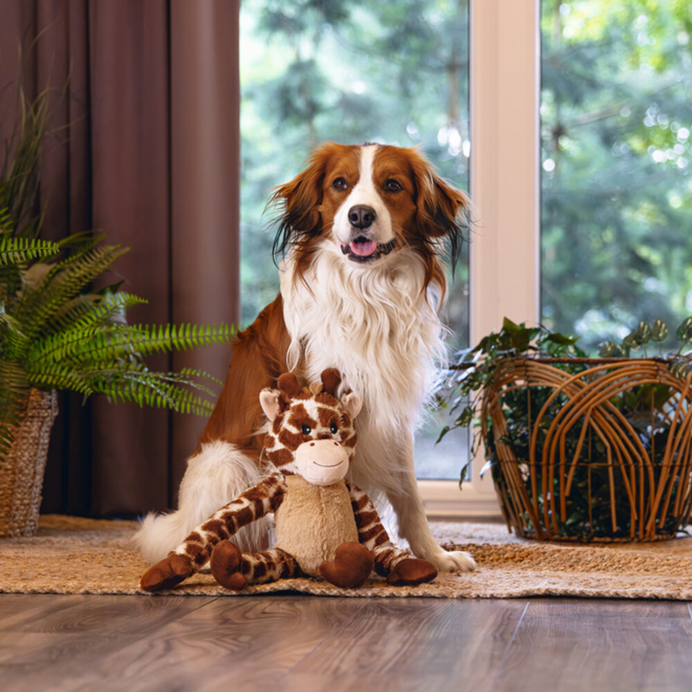 Beeztees Jungle Giraffe