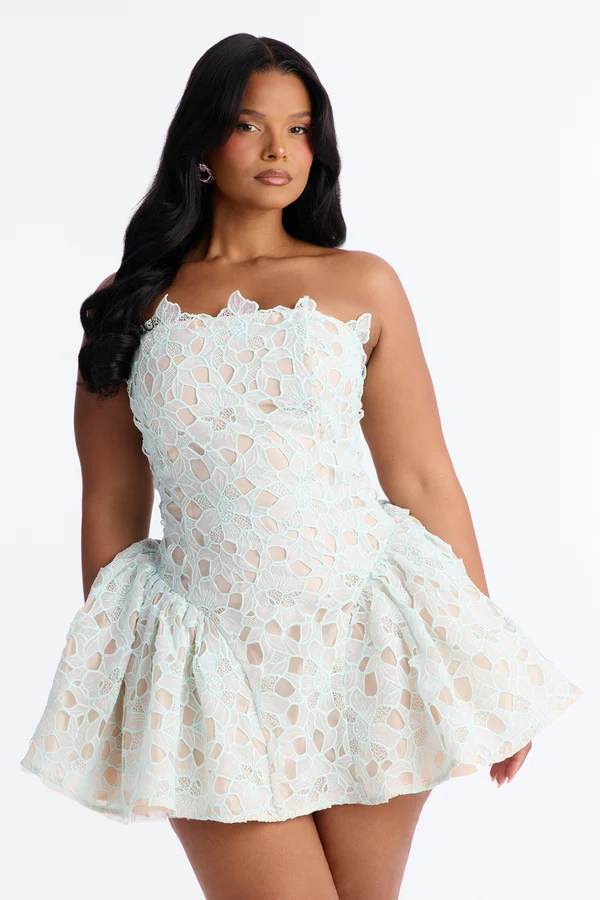 Lace Meadow Strapless Mini Dress