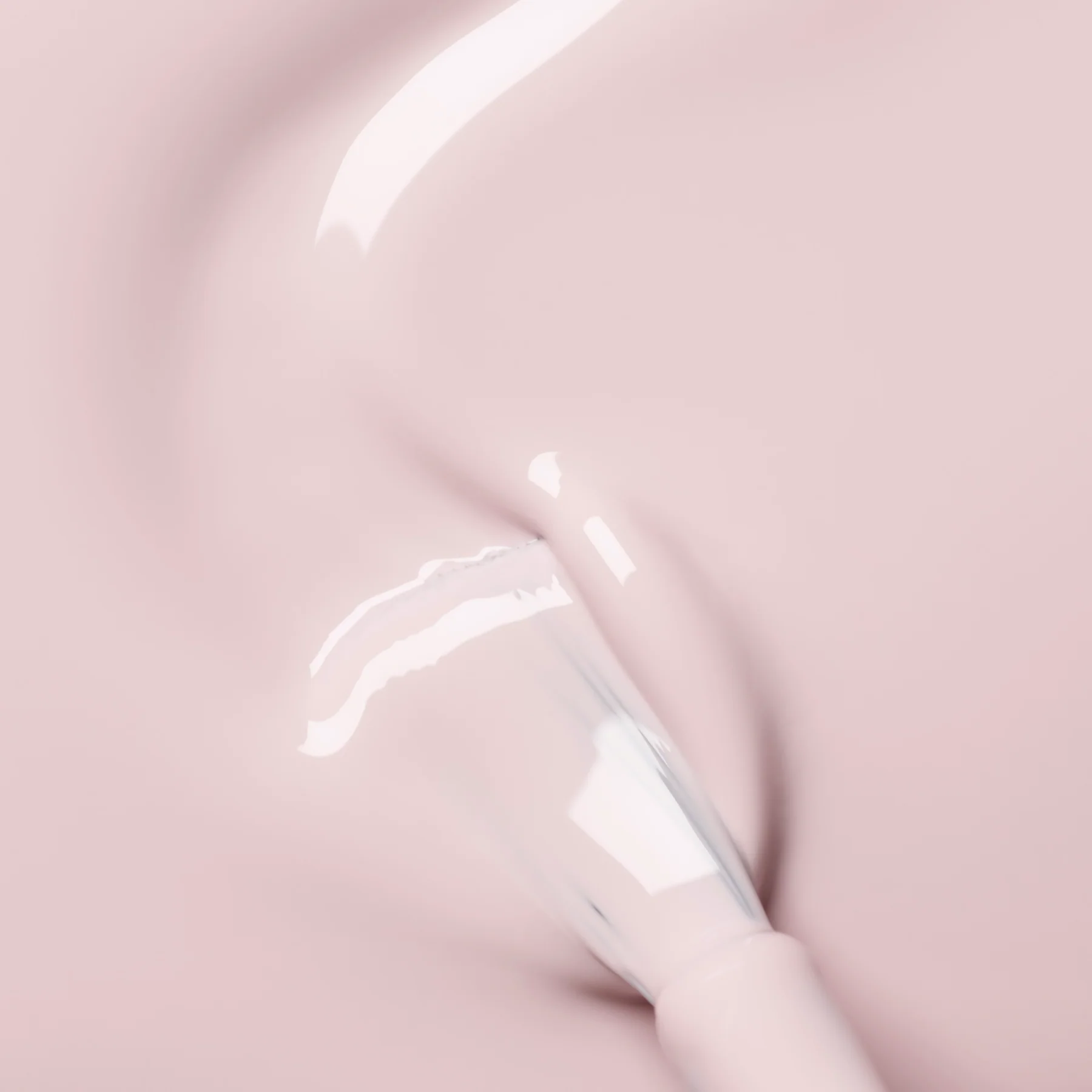 Blossom