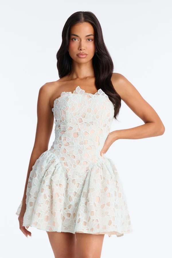 Lace Meadow Strapless Mini Dress