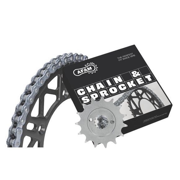 Kit chaine AFAM 525 Type AcierRef : 01473207 / KIT104111