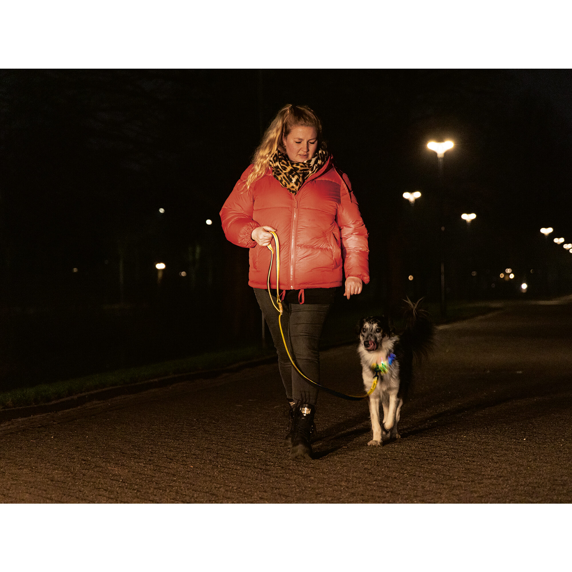 Beeztees Safety Gear Parinca Collar - 30-35 x 2 cm