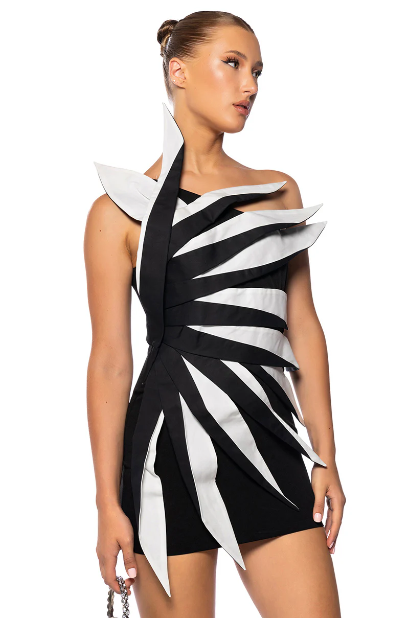 Draco Pointed Mini Dress