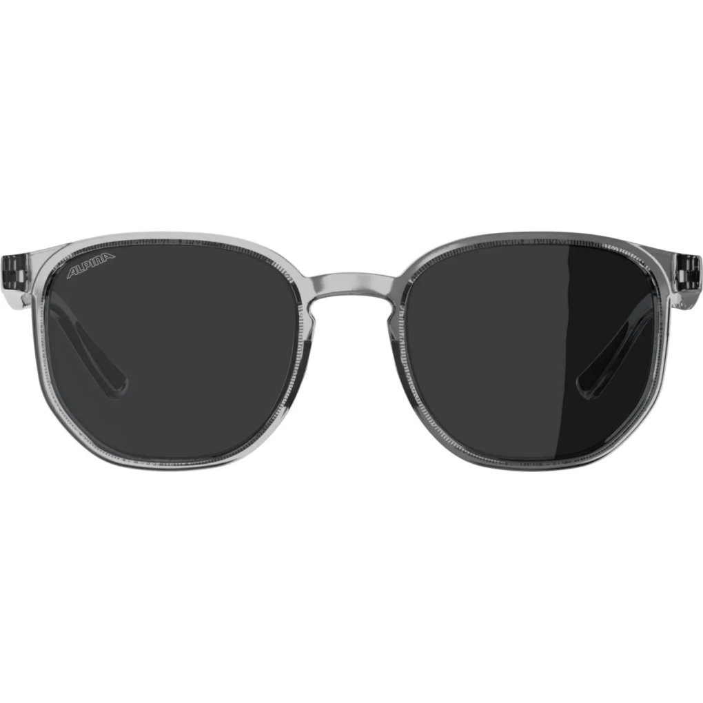 Alpina Dimont Glasses - transparent gloss/black