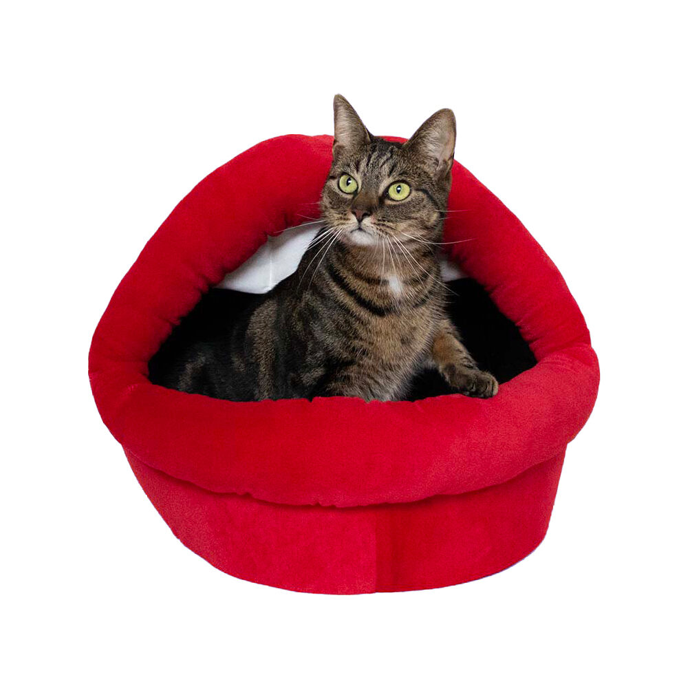 Coockoo Meow Mouth Cat House