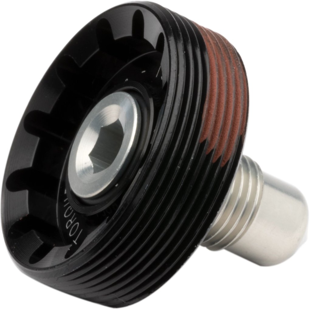 Cannondale Lefty 60 Hub Bolt and Cap - KH124