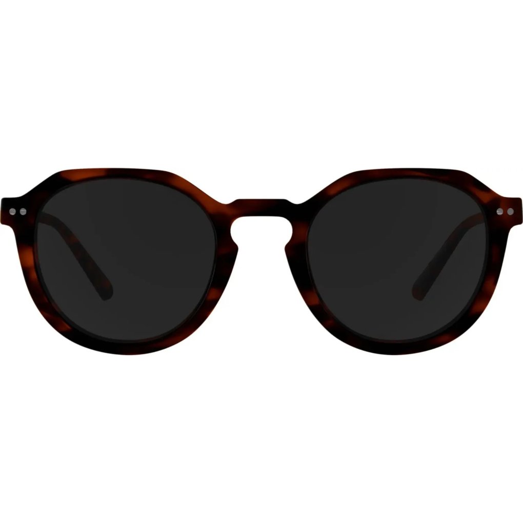 Alpina Sneek 2.0 Glasses - havana matt/black